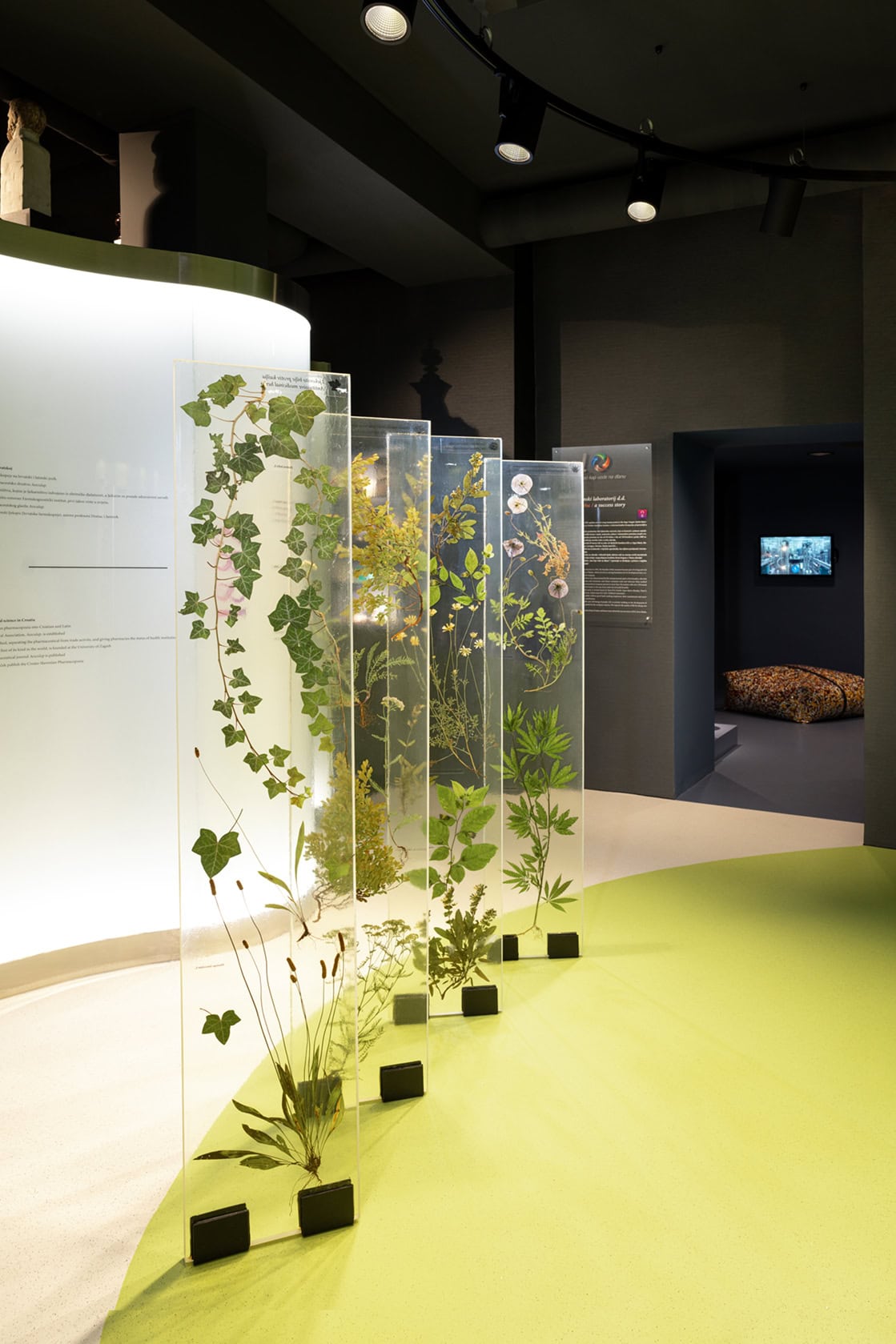 pharmacy museum logo